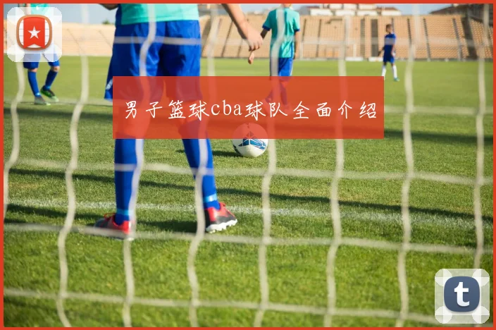 男子篮球cba球队全面介绍